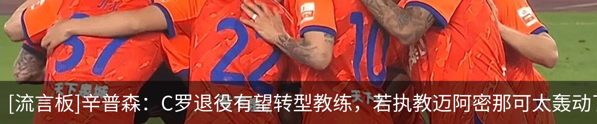 新闻动态